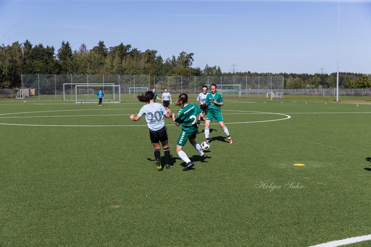 Bild 65 - wBJ FSG Kaltenkirchen - MSG Siebenbaeumen-Krummesse : Ergebnis: 2:5